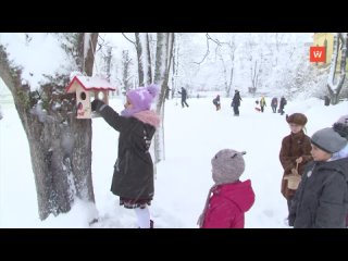 feed the birds promotion continues