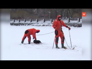 retrospective 2013: outdoor life safety lesson