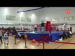 boxing tournament in memory of alexander petrov was held in vyborg