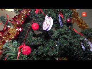 wish tree: deputies of the legislative assembly of the leningrad region make teen's dreams come true