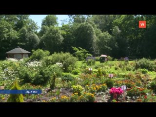 the work of the teachers of the yunnat station was evaluated at the all-russian level