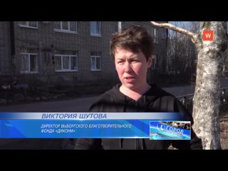 hundreds of vyborzhians did not pass by the problems of the dikoni foundation