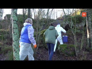 forest dwellers - under the protection of veterinarians