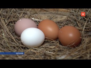 the best farmers were honored in the vyborgsky district