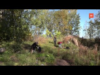 every year, students clean up the old finnish cemetery