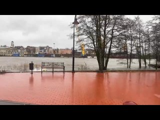 the water keeps coming. flood in vyborg - smolyanoy cape