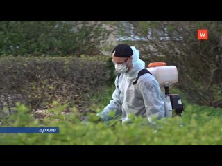 green areas of vyborg are treated against ticks