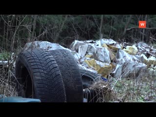 unauthorized landfill discovered near vyborg