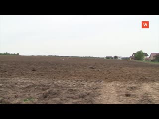 planting of potatoes of early varieties began in the leningrad region