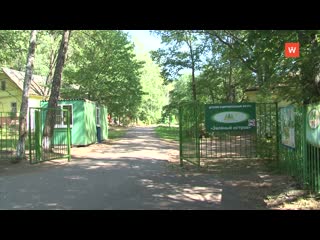 municipal country camps of the vyborgsky district will not open this summer