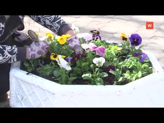 landscapers decorate the city with flowers