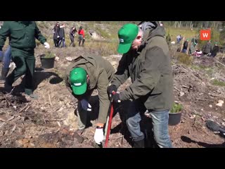 forest planting day took place despite the pandemic