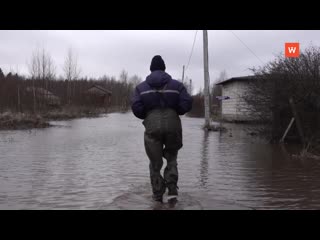 two horticulture flooded near vyborg