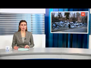 over 700 illegal dumps liquidated in leningrad region