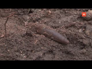 sappers removed a shell from the times of the war from the gardening raduga