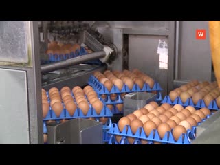 poultry farm roskar entered the foreign market