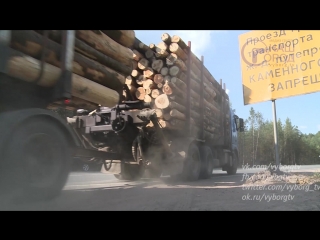 transportation of timber - under the control of the vyborg prosecutor's office