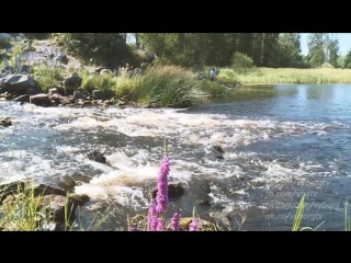 video sketch of vyborg. around the water