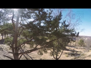 video sketch of vyborg. awakening of nature