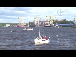 the regatta of the maritime festival "sails of vyborg" has ended