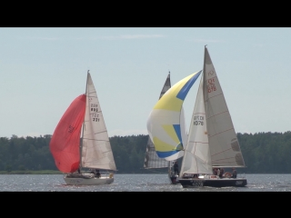 all-russian sailing regatta was held in the vyborg district