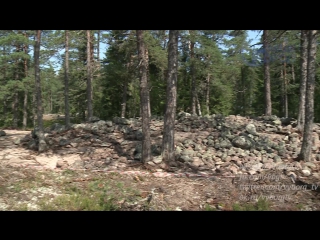 archaeologists have discovered an ancient barrow complex in the vyborg region